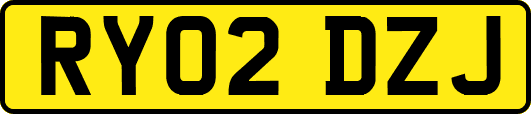 RY02DZJ