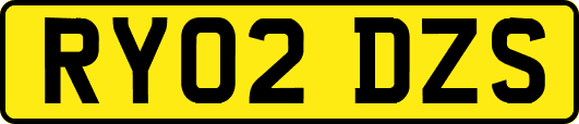 RY02DZS