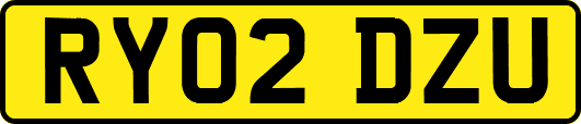RY02DZU