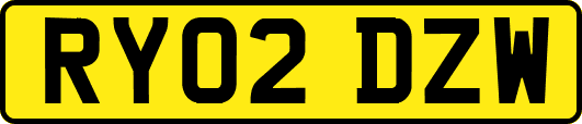 RY02DZW