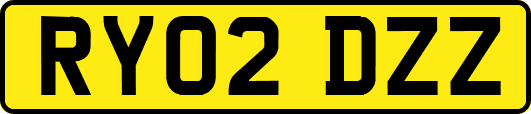 RY02DZZ