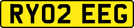 RY02EEG