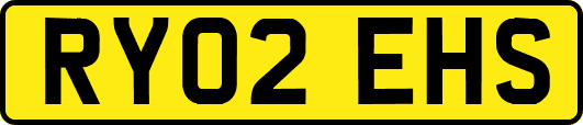 RY02EHS