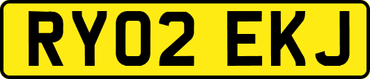 RY02EKJ