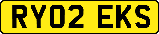 RY02EKS