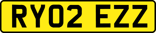 RY02EZZ