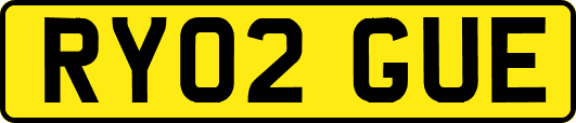 RY02GUE