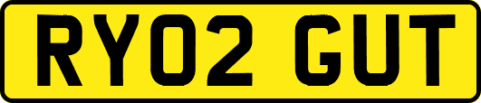 RY02GUT