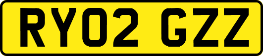 RY02GZZ