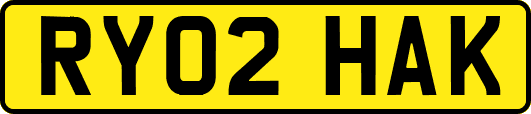 RY02HAK