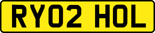 RY02HOL
