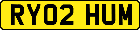 RY02HUM