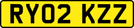 RY02KZZ