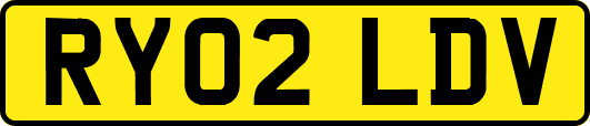RY02LDV