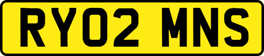 RY02MNS