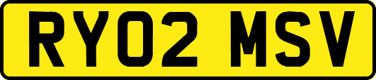 RY02MSV