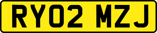RY02MZJ