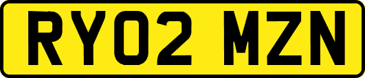 RY02MZN