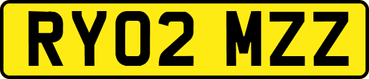 RY02MZZ