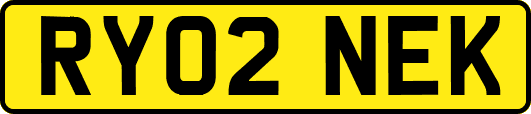 RY02NEK