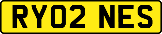 RY02NES