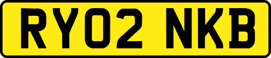 RY02NKB