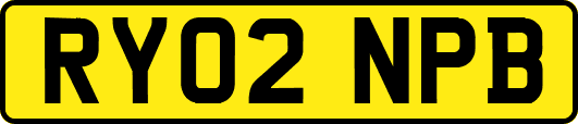 RY02NPB