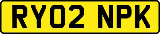 RY02NPK