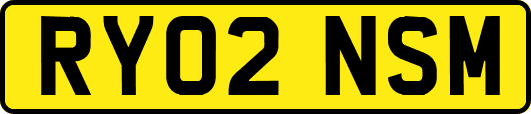 RY02NSM