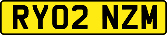 RY02NZM