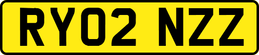 RY02NZZ