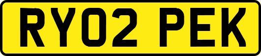 RY02PEK