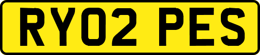 RY02PES