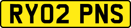 RY02PNS
