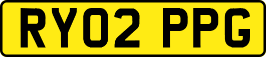 RY02PPG