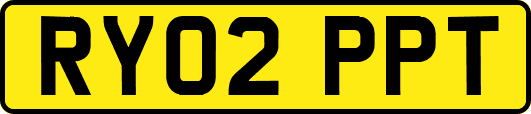 RY02PPT