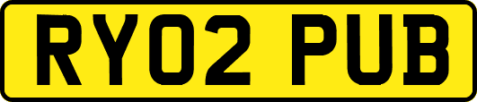 RY02PUB