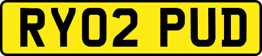 RY02PUD
