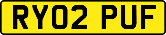 RY02PUF