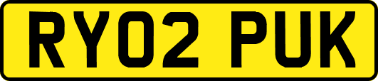 RY02PUK