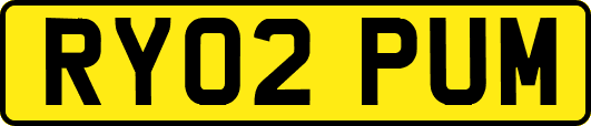 RY02PUM