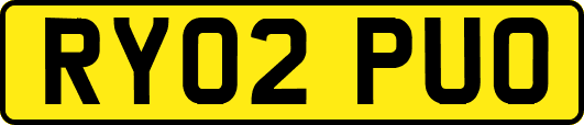 RY02PUO