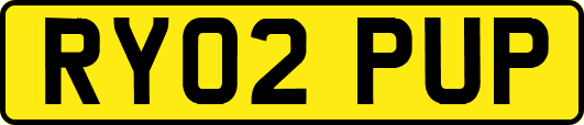 RY02PUP