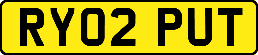 RY02PUT