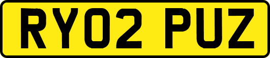 RY02PUZ