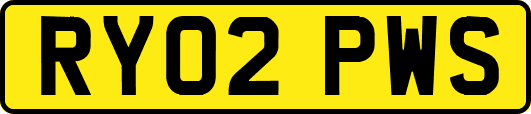 RY02PWS