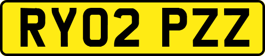 RY02PZZ