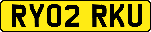 RY02RKU