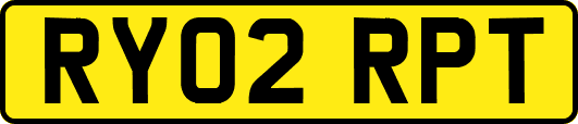 RY02RPT