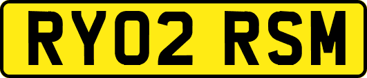 RY02RSM